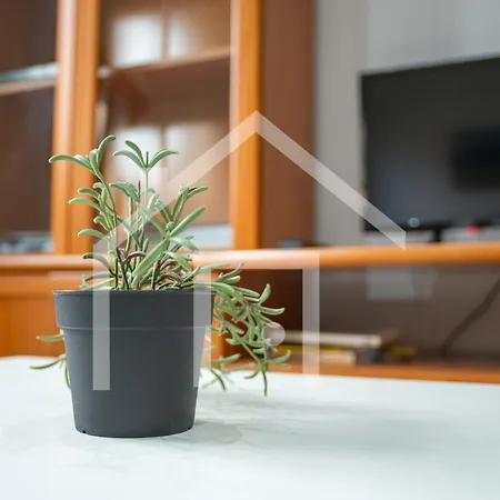 Apartamento La Luz Avilés